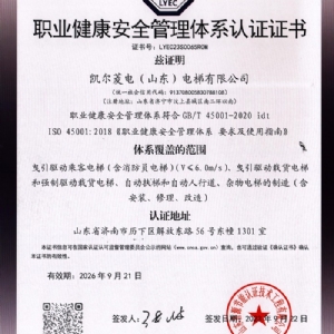 資質(zhì)榮譽